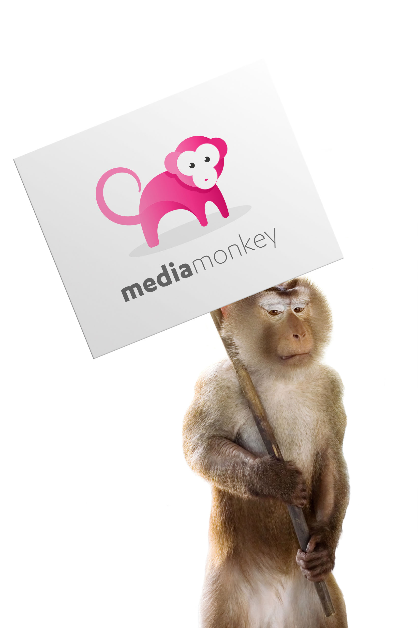 Media Monkey Marketing and Consulting